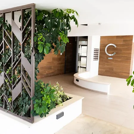 Cosmos C102 アパート パラリムニ